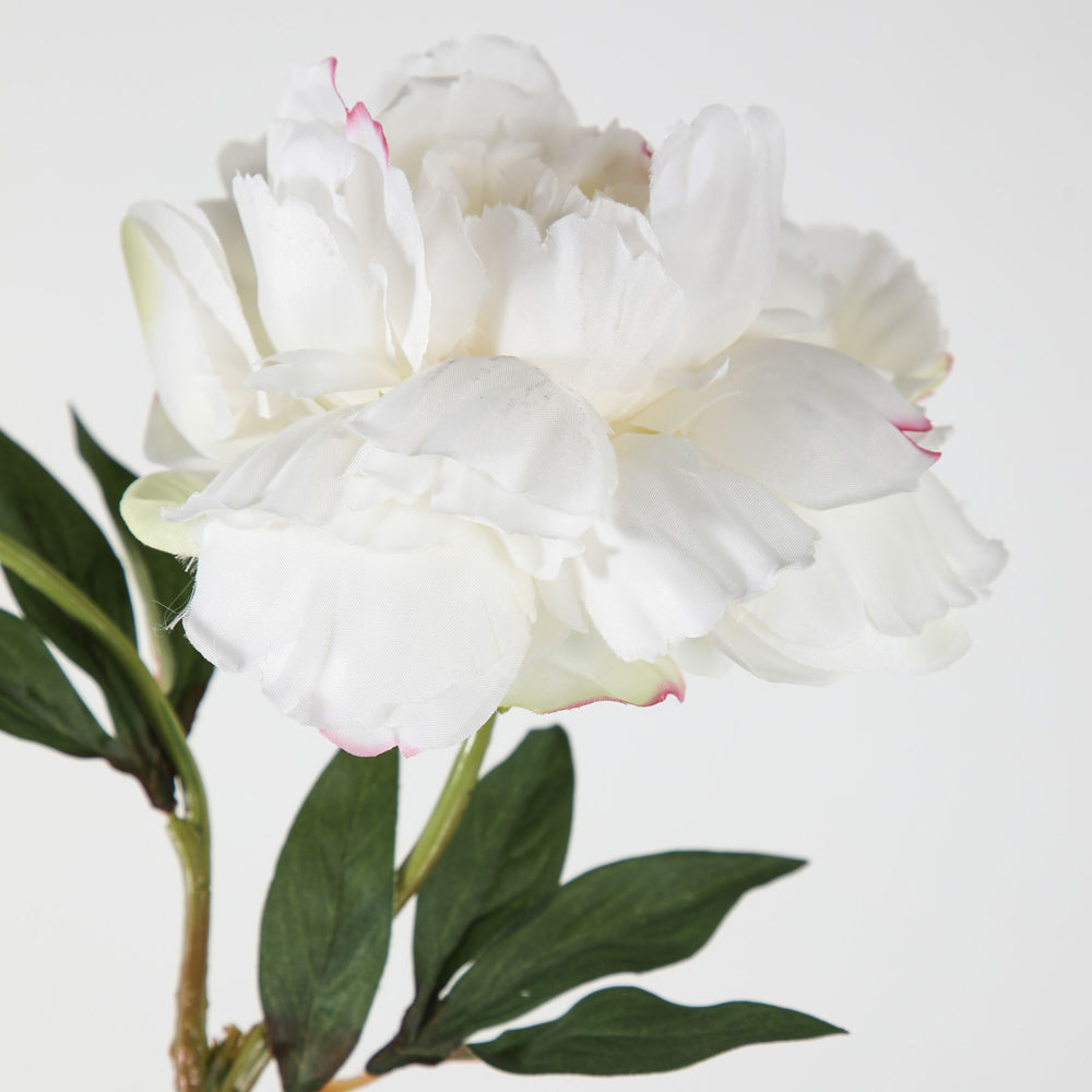 Product photograph of Gallery Interiors Set Of 6 Taylor Peony Spray Cream from Olivia's.