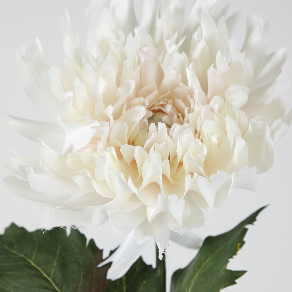 Product photograph of Gallery Interiors Set Of 6 Berenice Dahlia Stem White from Olivia's.
