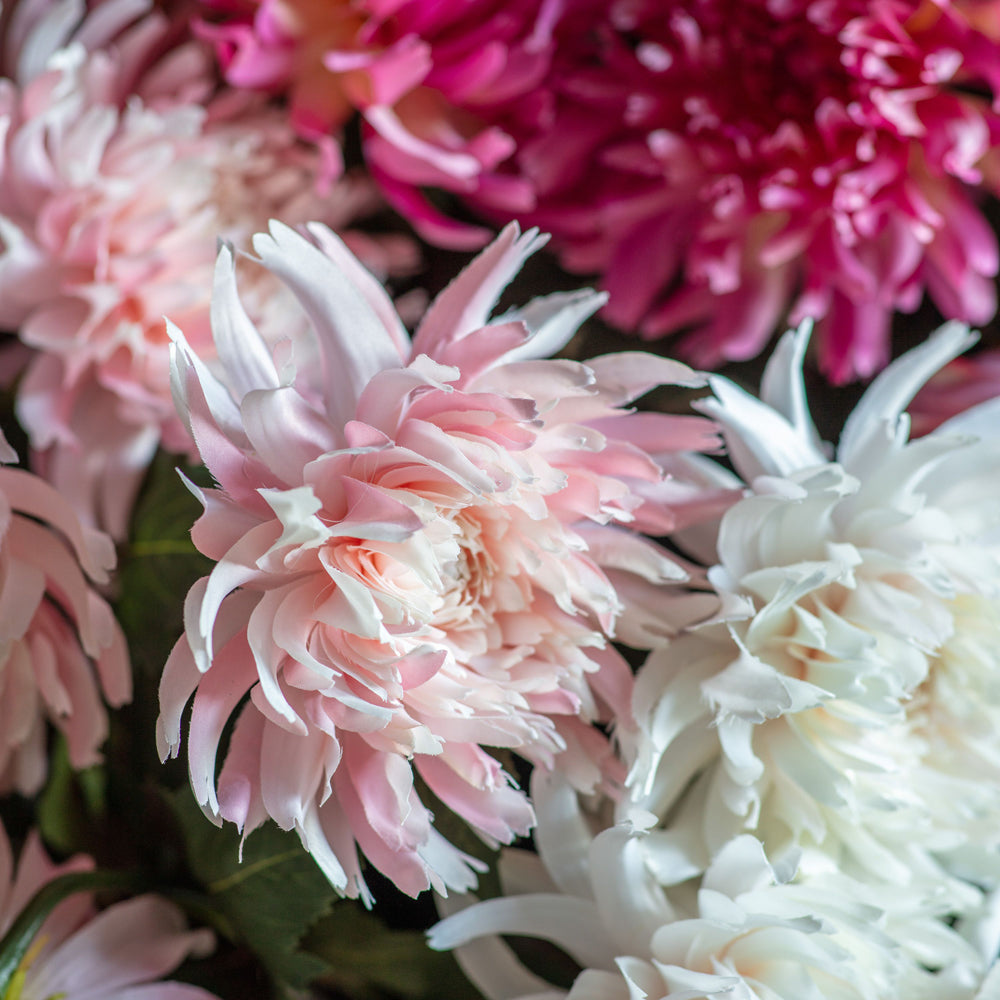 Product photograph of Gallery Interiors Set Of 6 Berenice Dahlia Stem Light Pink from Olivia's.