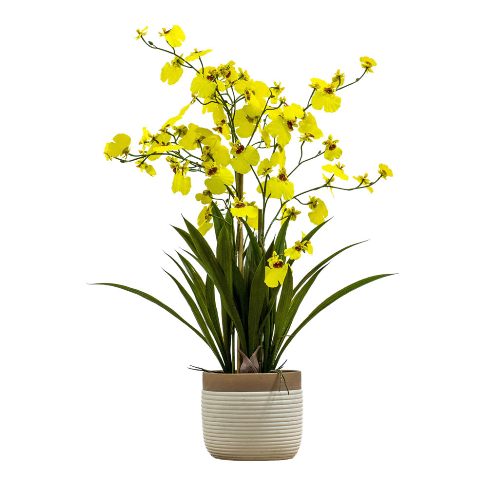 Product photograph of Gallery Interiors Begbie Potted Oncidium Orchid Yellow Small from Olivia's.