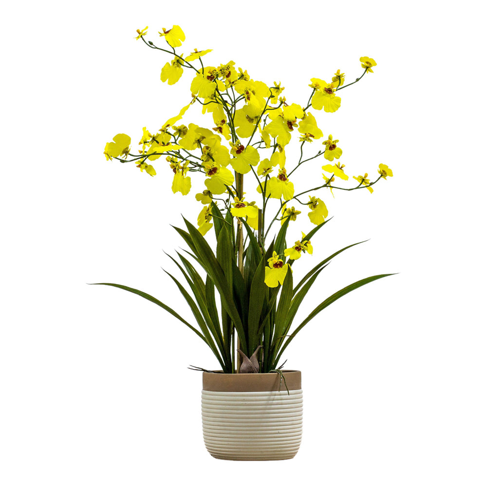 Product photograph of Gallery Interiors Begbie Potted Oncidium Orchid Yellow Large from Olivia's.