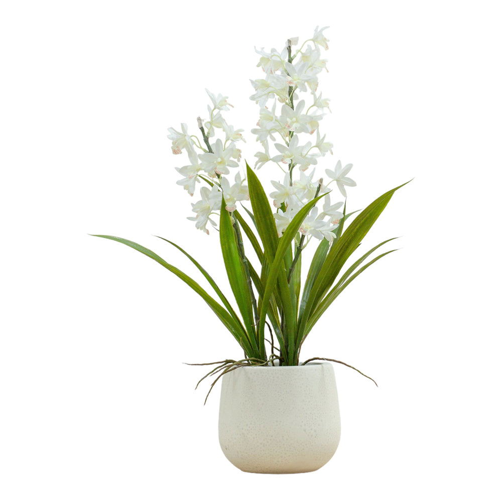 Product photograph of Gallery Interiors Wirth Potted Cymbidium Orchid White Large from Olivia's.