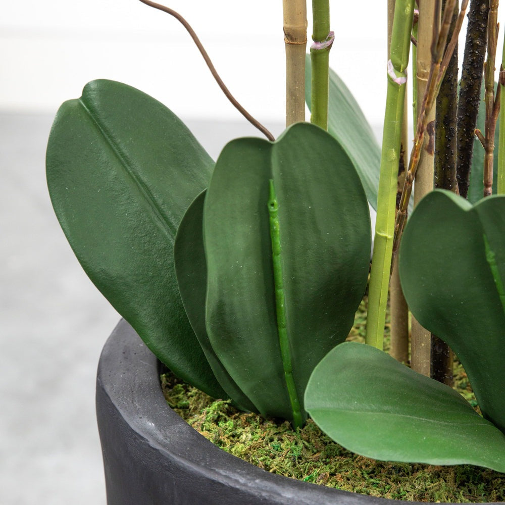 Product photograph of Gallery Interiors Adema Potted Phalaenopsis Orchid White Set Of 5 from Olivia's.