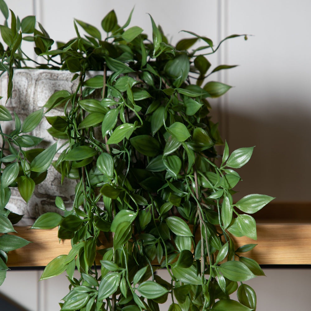 Product photograph of Gallery Interiors Tedore Trailing Vine from Olivia's.