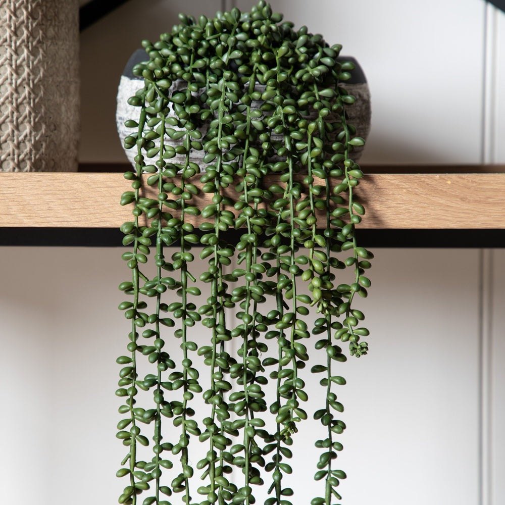 Product photograph of Gallery Interiors Jenson String Of Pearls Faux Plant Green from Olivia's.