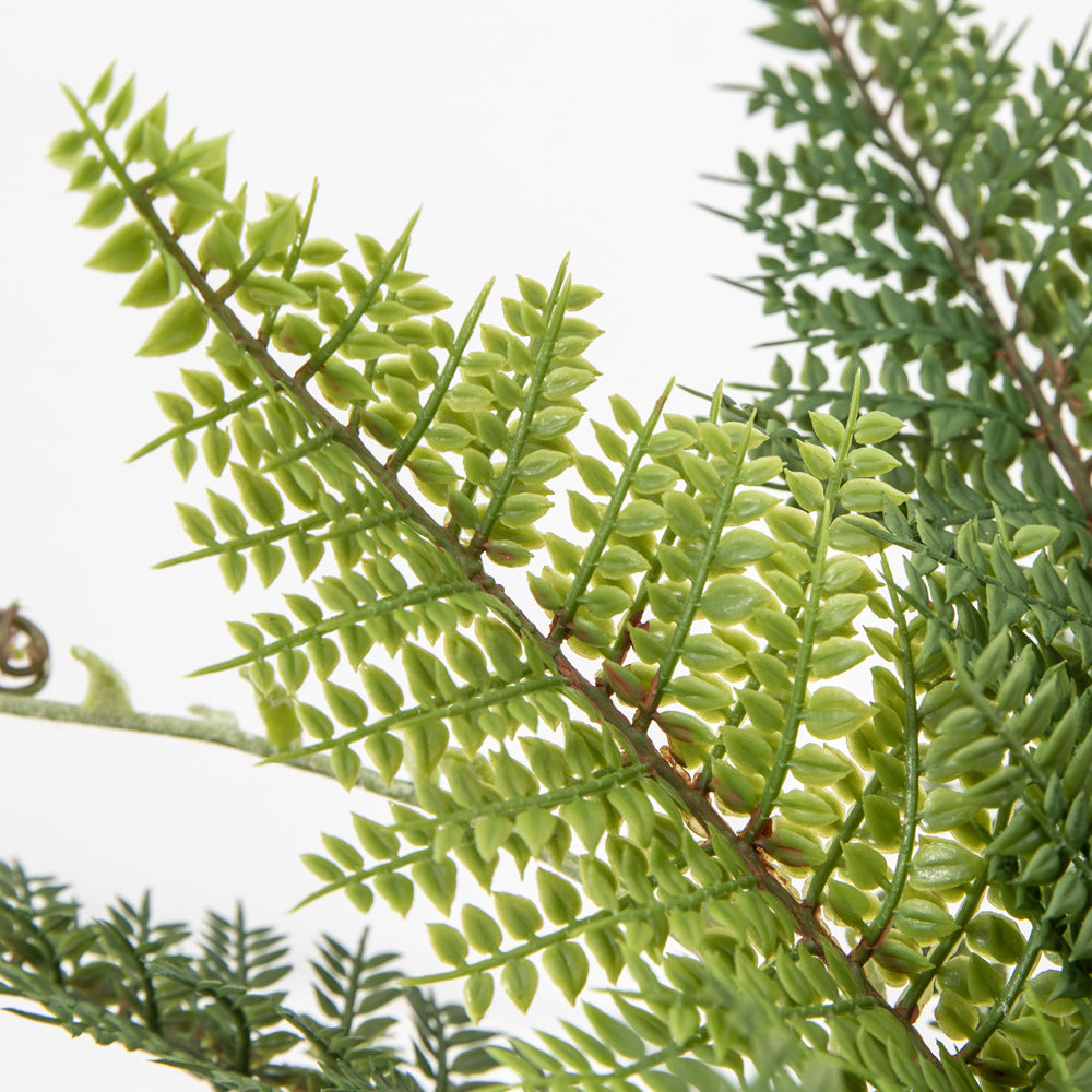 Product photograph of Gallery Interiors Elidi Bracken Faux Plant Green from Olivia's.