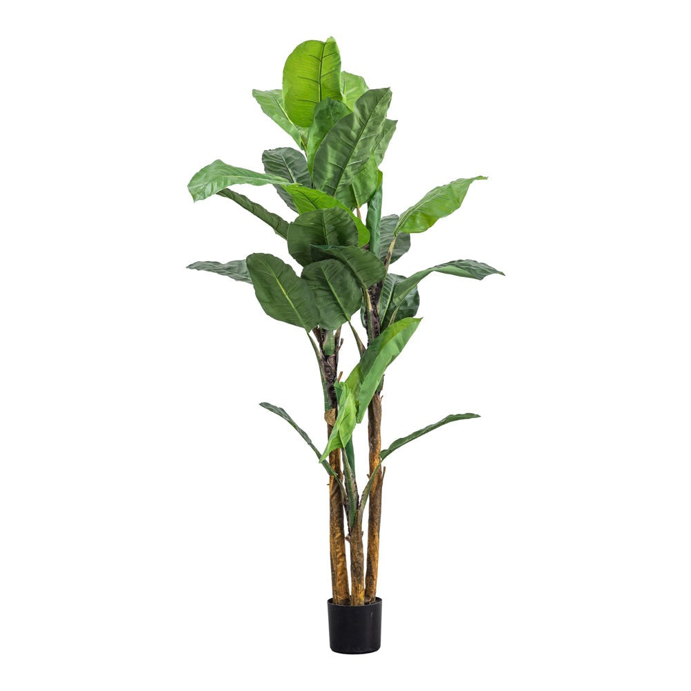 Product photograph of Gallery Interiors Finley Banana Palm Faux Plant Green Large from Olivia's.