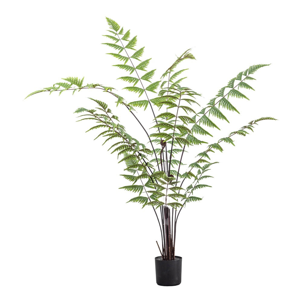 Product photograph of Gallery Interiors Daria Butterfly Fern Faux Plant Green from Olivia's.