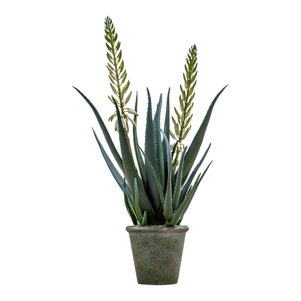 Product photograph of Gallery Interiors Magro Potted Aloe With Flowers Faux Plant Green And White Large from Olivia's.