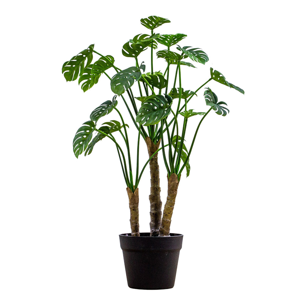 Product photograph of Gallery Interiors Jabbar Potted Monsterra Faux Plant Green Large from Olivia's.