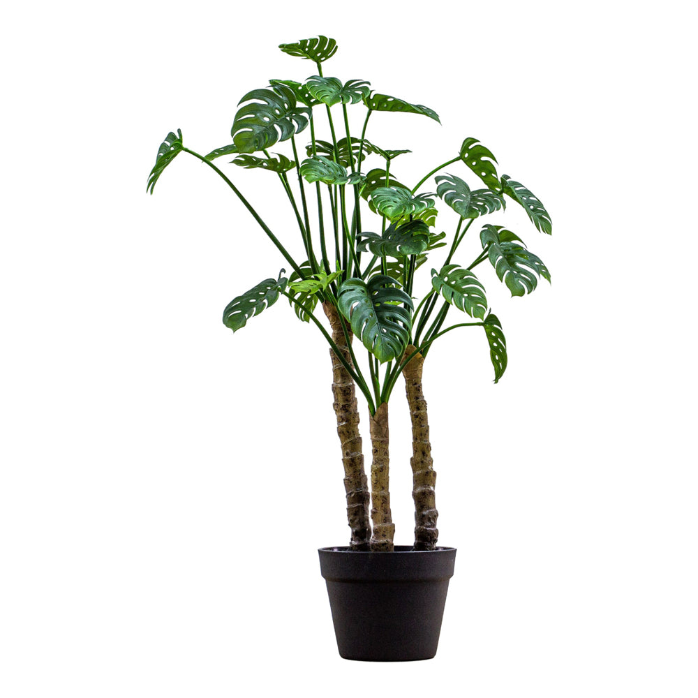 Product photograph of Gallery Interiors Jabbar Potted Monsterra Faux Plant Green Small from Olivia's.