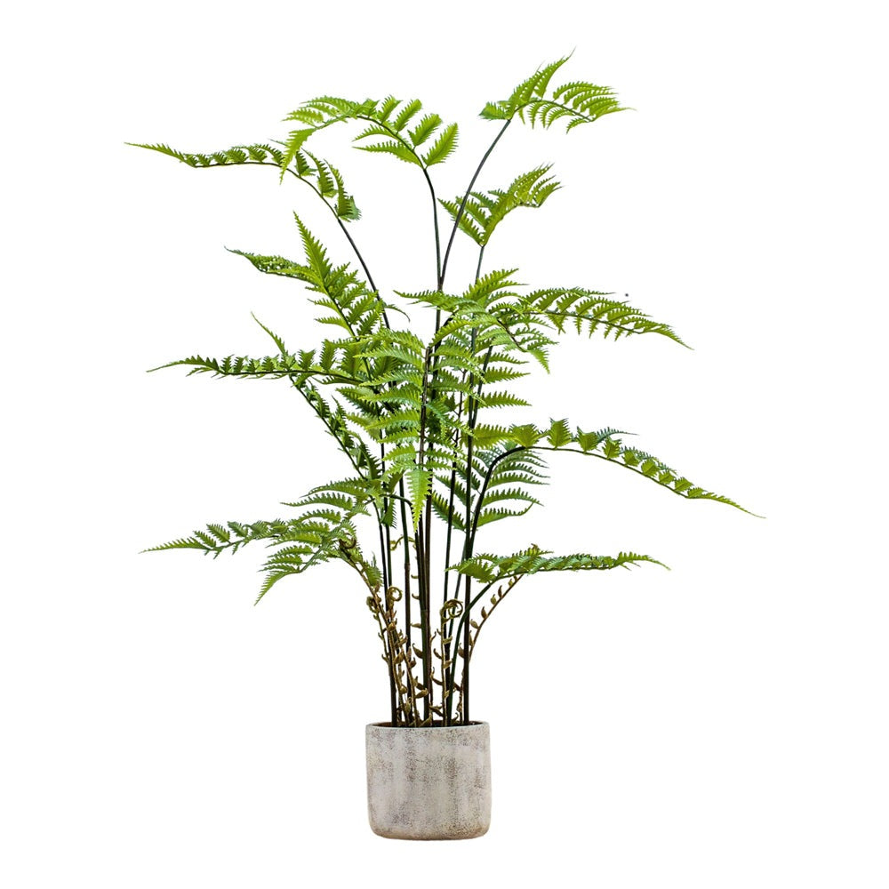 Product photograph of Gallery Interiors Kambiz Potted Fern In Cement Faux Plant Cream And Green Large from Olivia's.