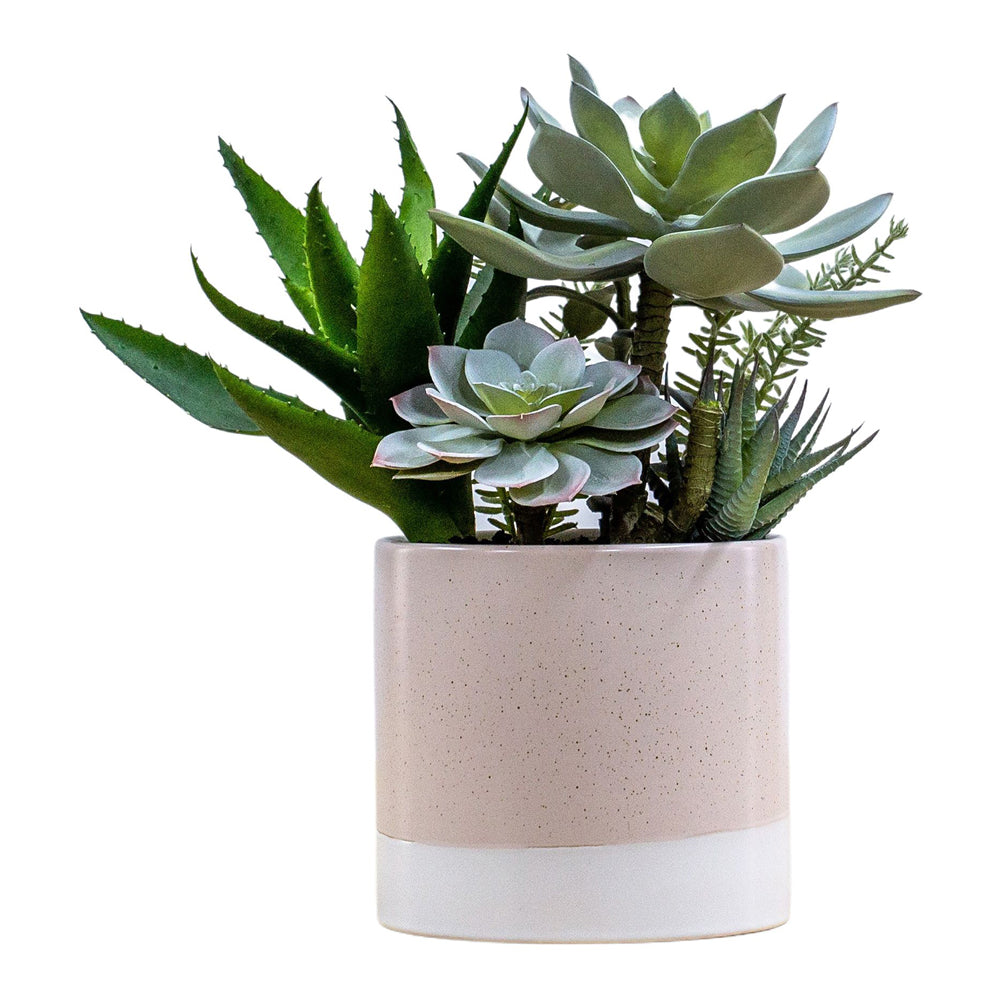 Product photograph of Gallery Interiors Lucina Potted Succulent Faux Plant Green And Pink from Olivia's.