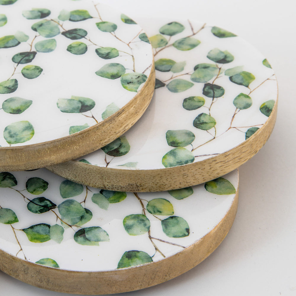 Product photograph of Gallery Interiors Set Of 4 Simona Eucalyptus Coasters Green Natural White from Olivia's.