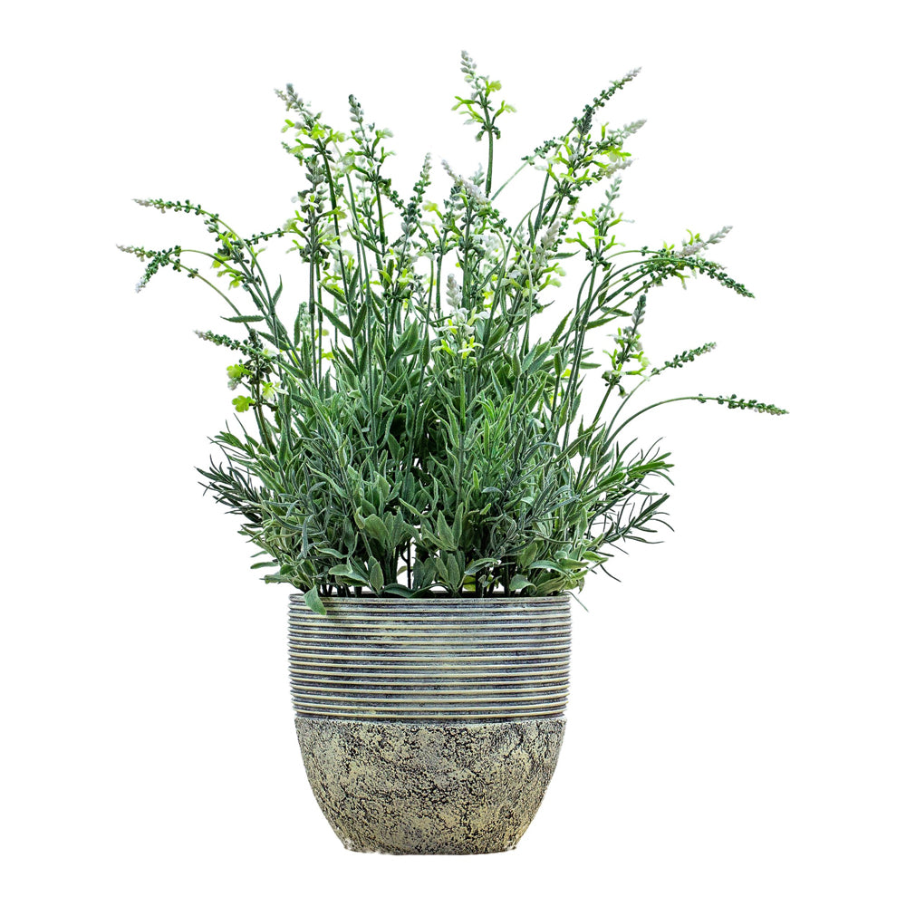 Product photograph of Gallery Interiors Garner Potted Lavender Cream Green Small from Olivia's.
