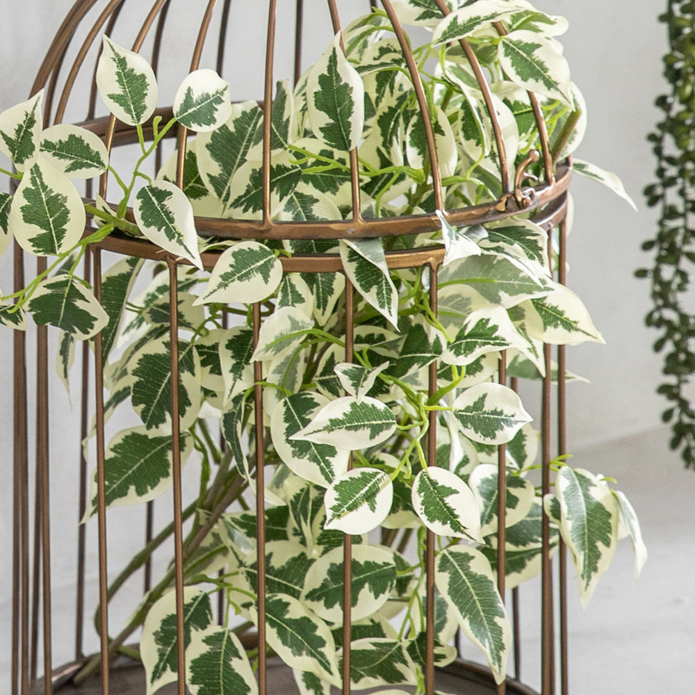 Product photograph of Gallery Interiors Alves Variegated Ficus Faux Plant Green from Olivia's.