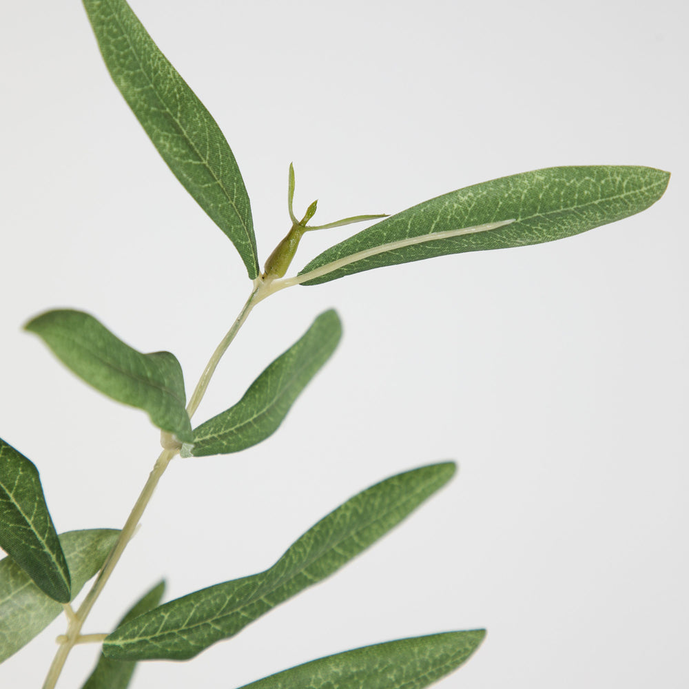 Product photograph of Gallery Interiors Set Of 6 Joy Olive Branch Faux Plant Green from Olivia's.