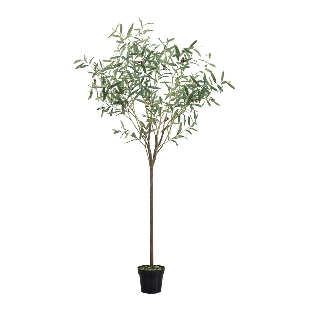 Product photograph of Gallery Interiors Joy Olive Tree Faux Plant In Green Small from Olivia's.