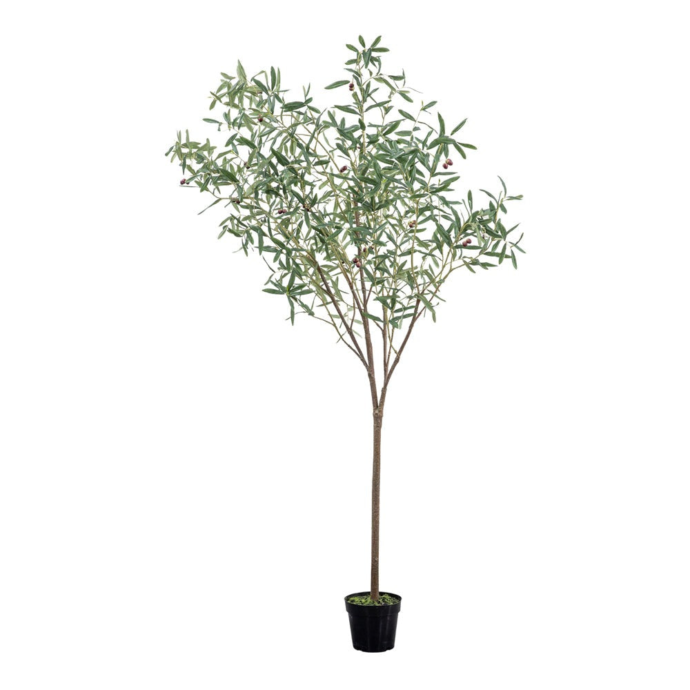 Product photograph of Gallery Interiors Joy Olive Tree Faux Plant In Green Small from Olivia's
