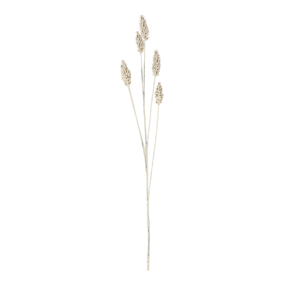 Product photograph of Gallery Interiors Set Of 6 Clemens Wheat Spray Faux Plant Cream from Olivia's.