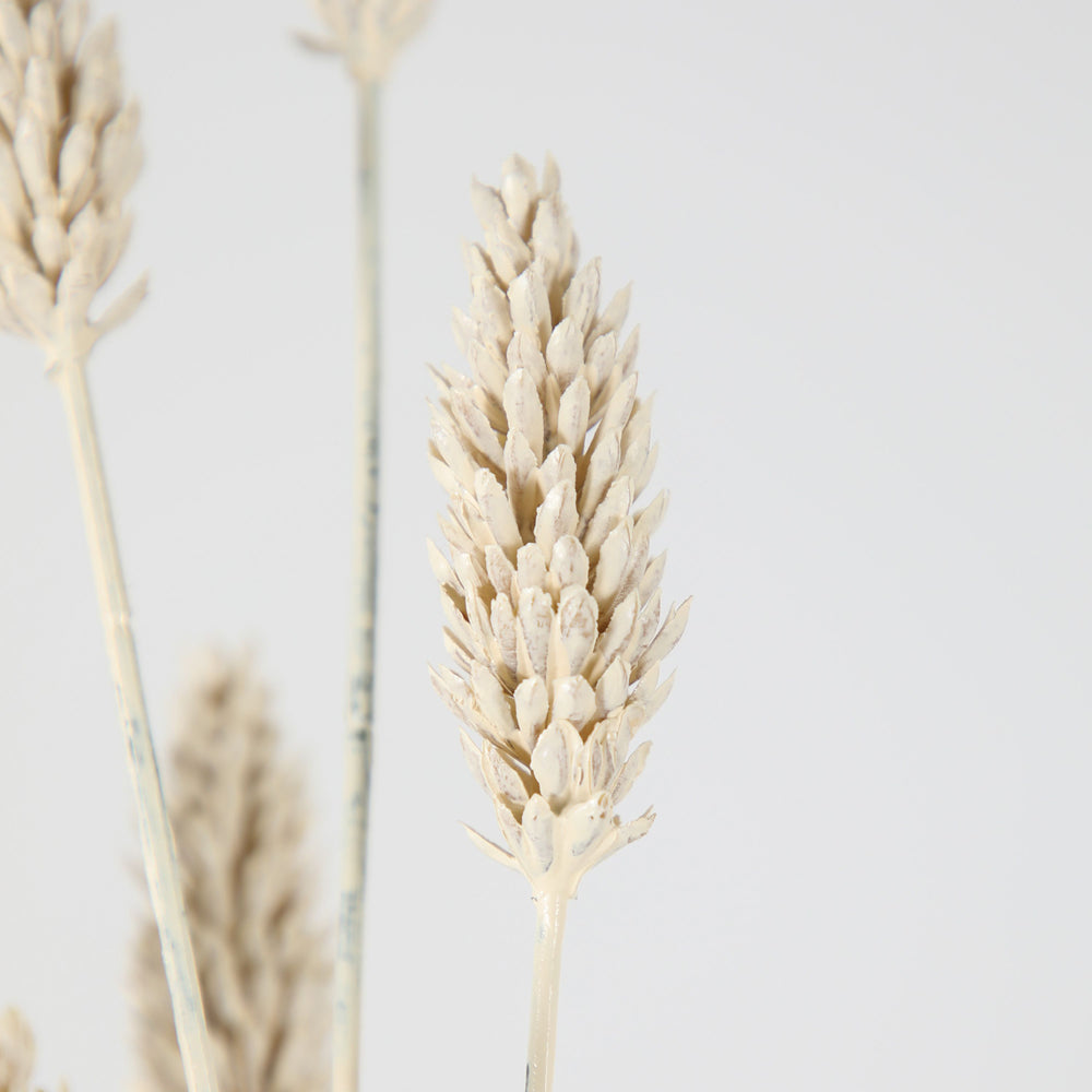 Product photograph of Gallery Interiors Set Of 6 Clemens Wheat Spray Faux Plant Cream from Olivia's.