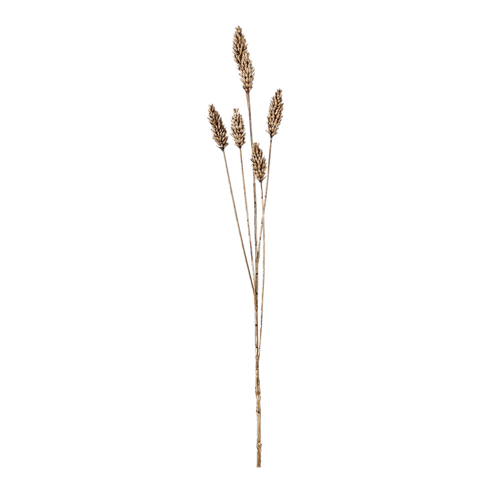 Product photograph of Gallery Interiors Set Of 6 Clemens Wheat Spray Faux Plant Brown from Olivia's.