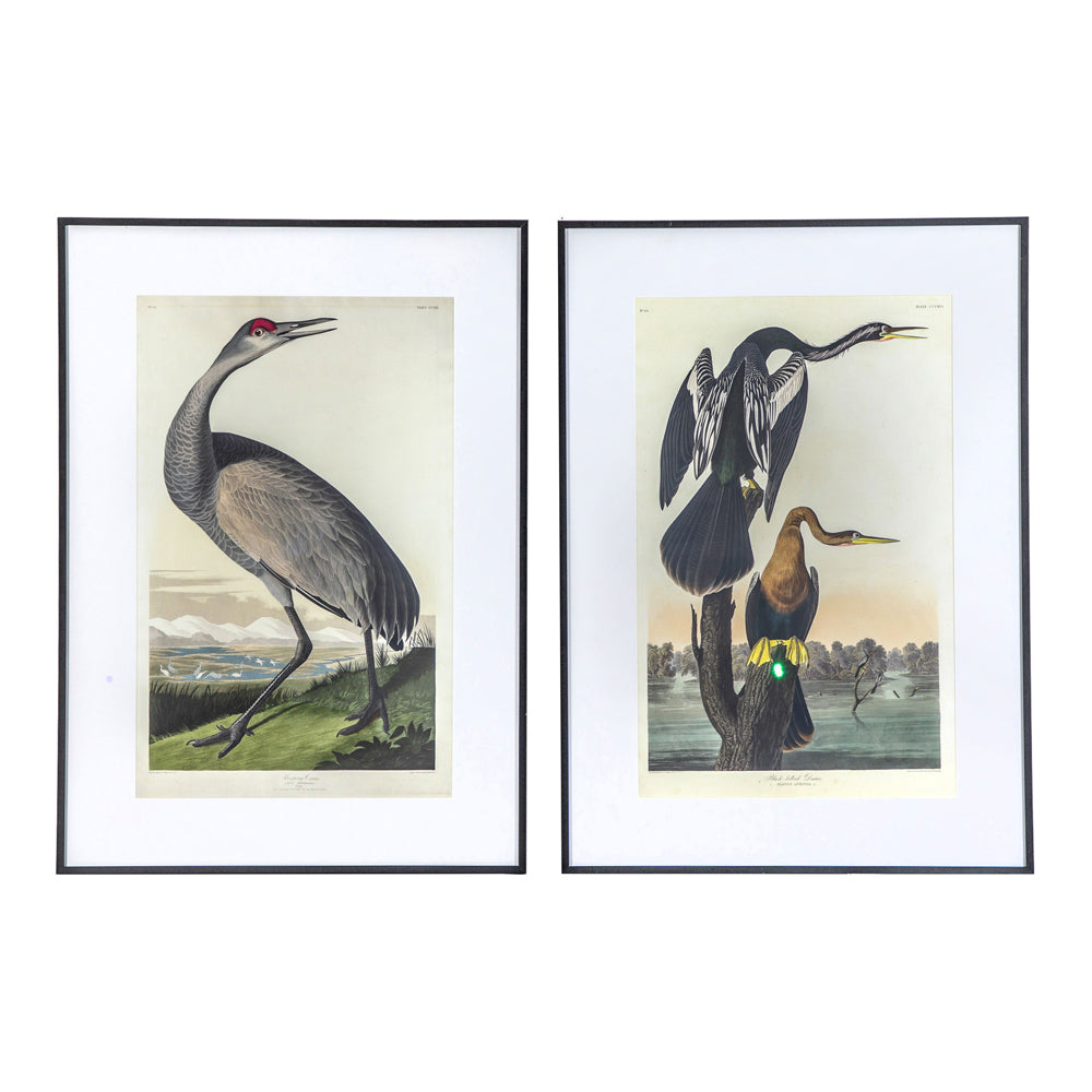 Product photograph of Gallery Interiors Set Of 2 Lei Exotic Fowl Study Framed Wall Art Multicoloured from Olivia's.