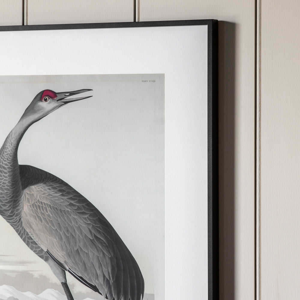 Product photograph of Gallery Interiors Set Of 2 Lei Exotic Fowl Study Framed Wall Art Multicoloured from Olivia's.