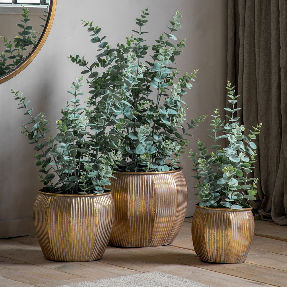 Product photograph of Gallery Interiors Potted Eucalyptus Bush Green Large from Olivia's.