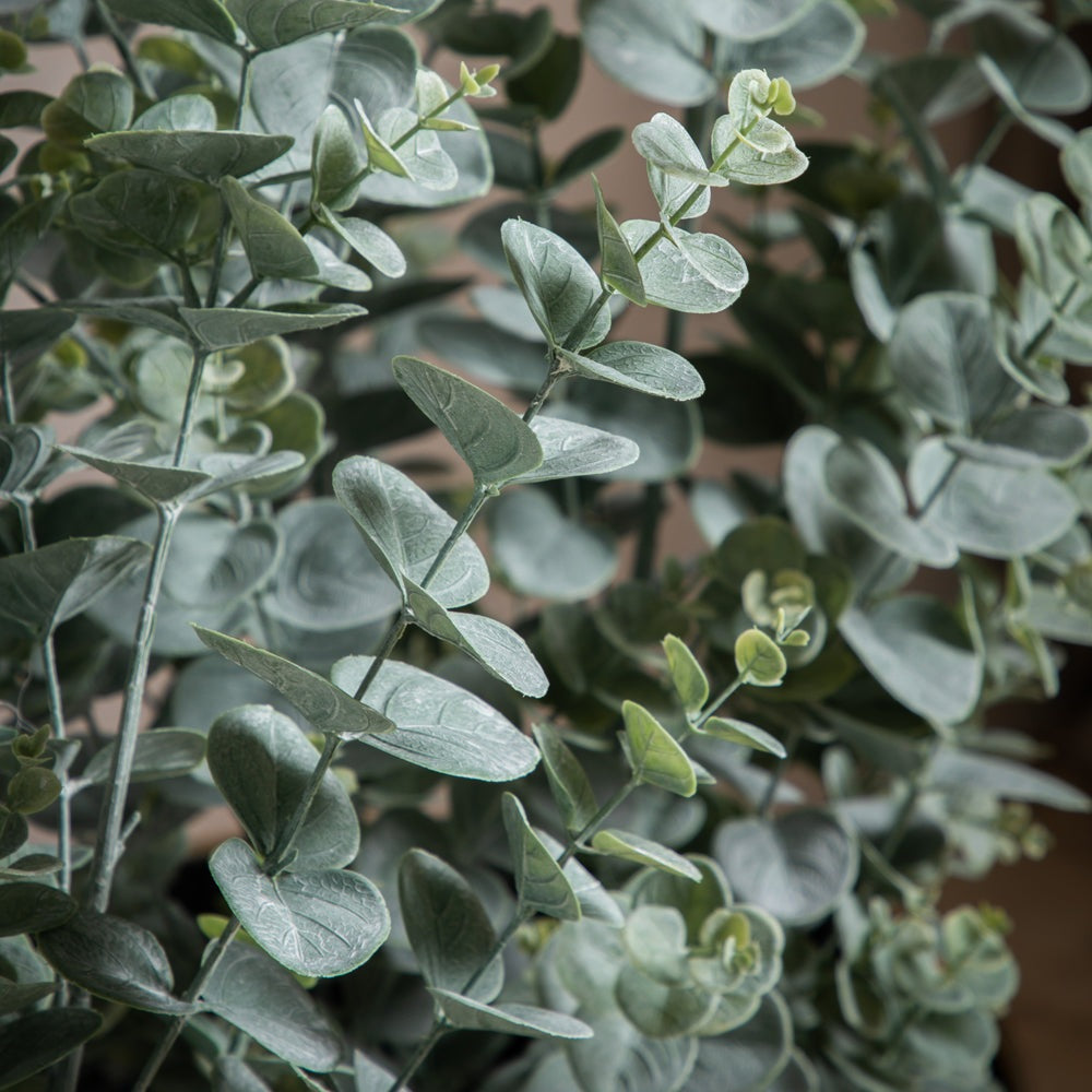 Product photograph of Gallery Interiors Potted Eucalyptus Bush Green Large from Olivia's.