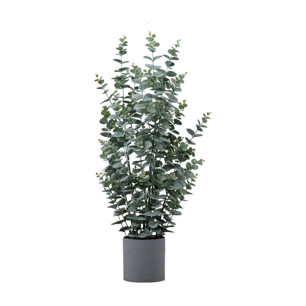 Product photograph of Gallery Interiors Potted Eucalyptus Bush Green Medium from Olivia's