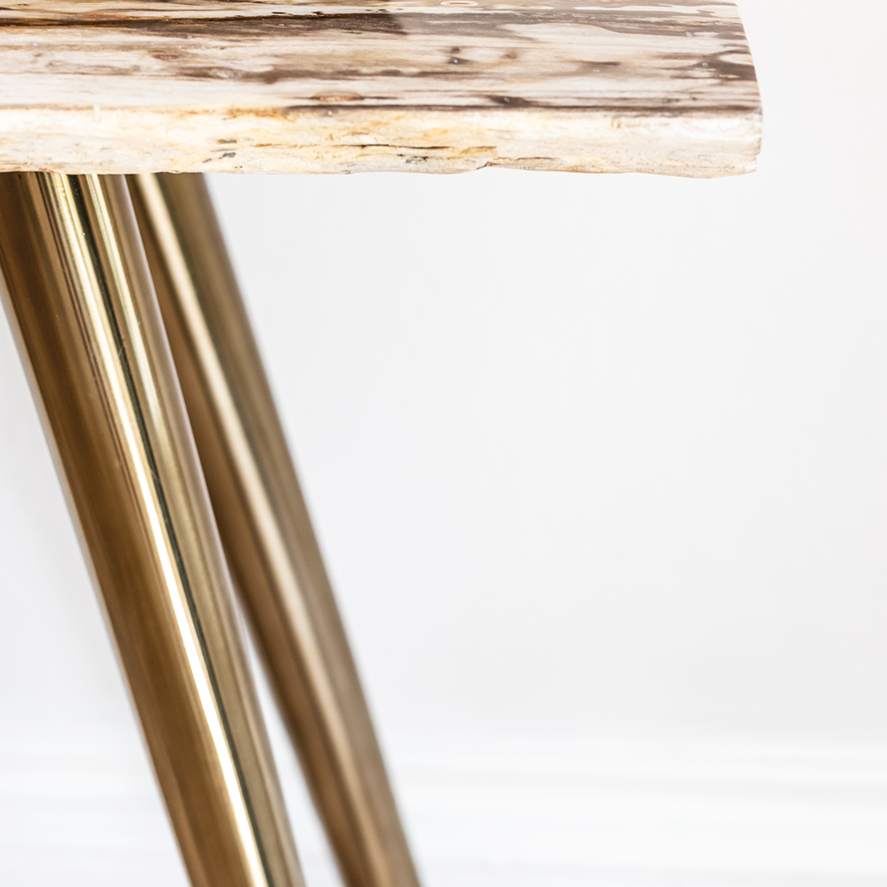 Product photograph of Olivia S Natural Living Collection - Petrified Wood Console Table from Olivia's.