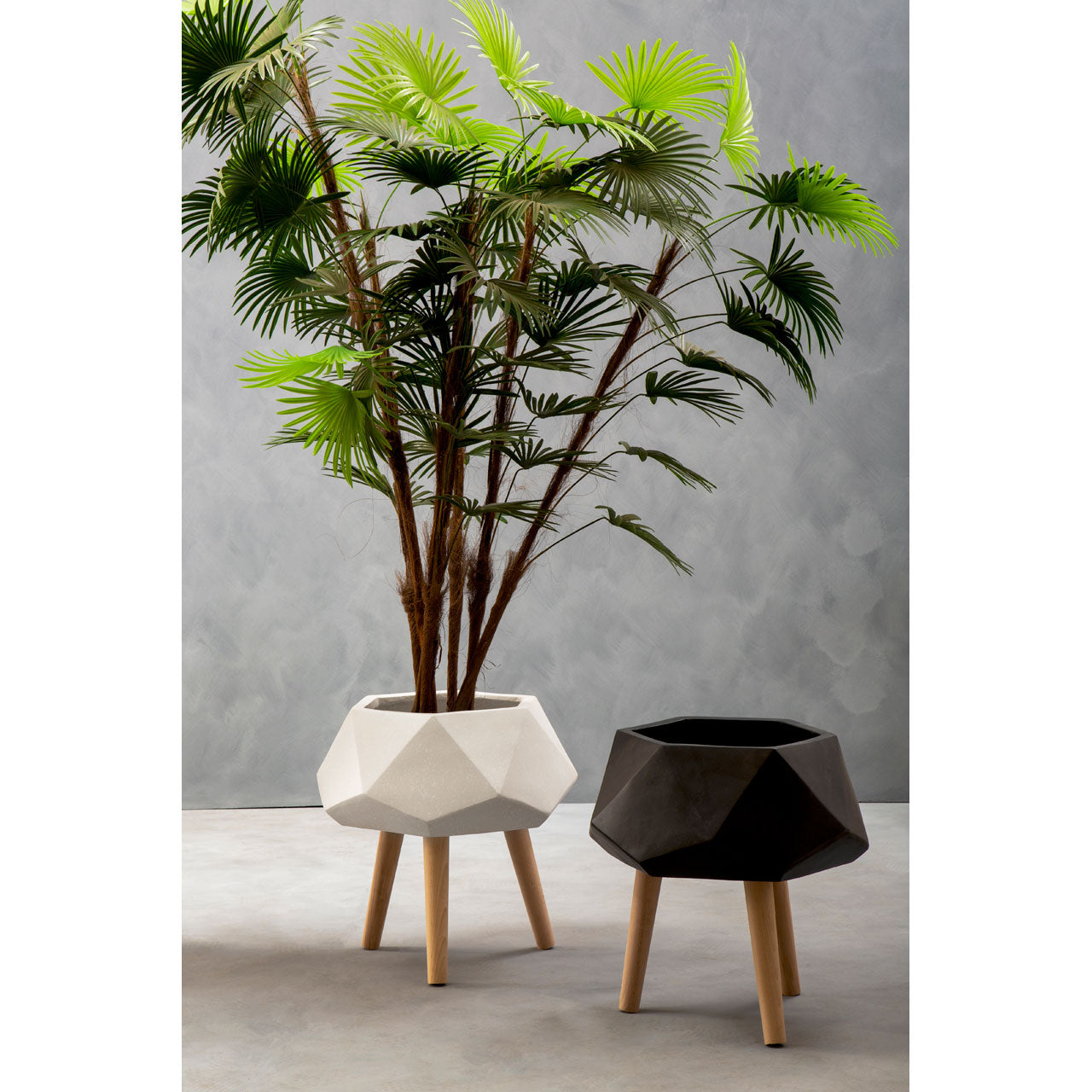 Product photograph of Olivia S Daniel Planter Multifaceted Black Small from Olivia's.