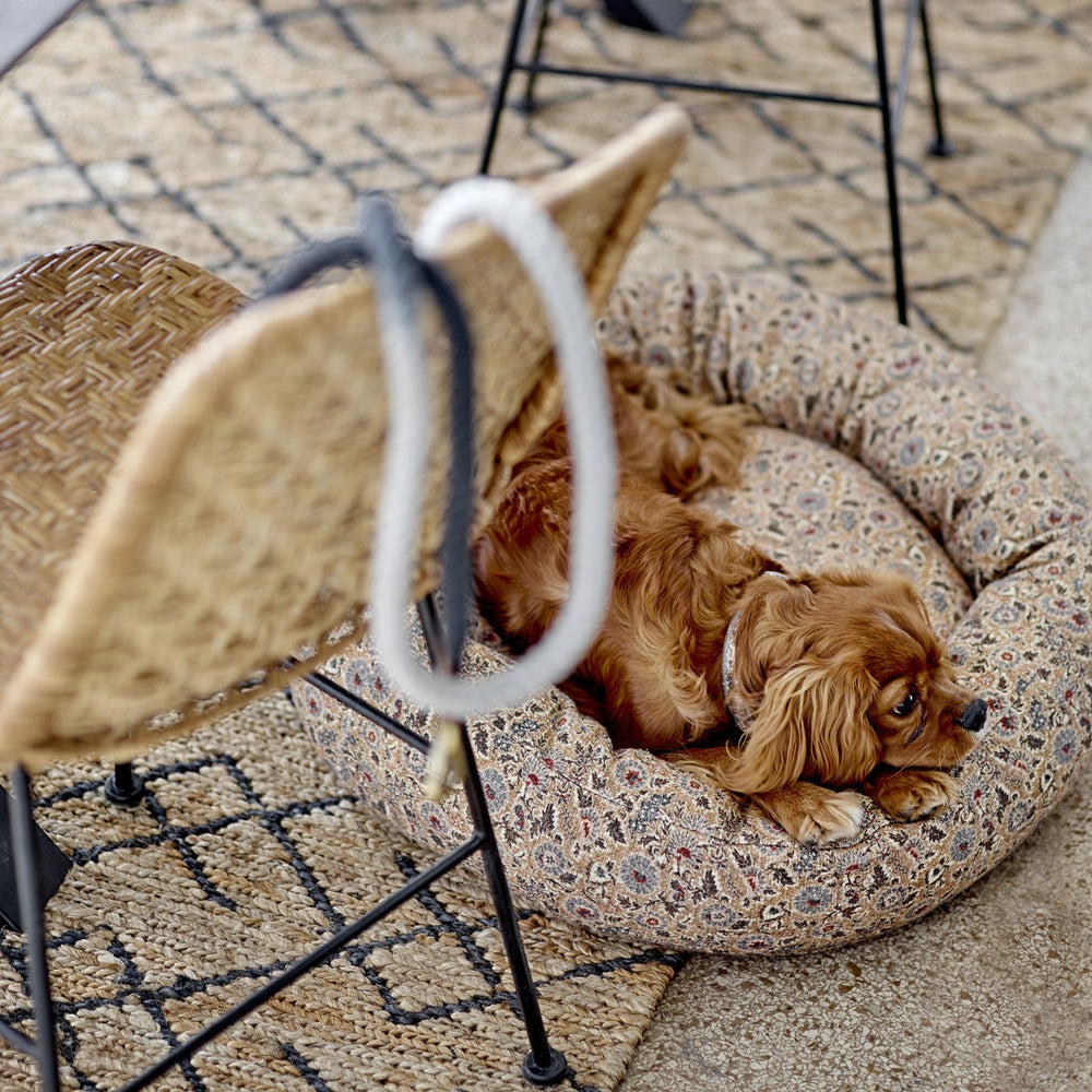 Product photograph of Bloomingville Vittoria Dog Cushion In Brown Cotton from Olivia's.