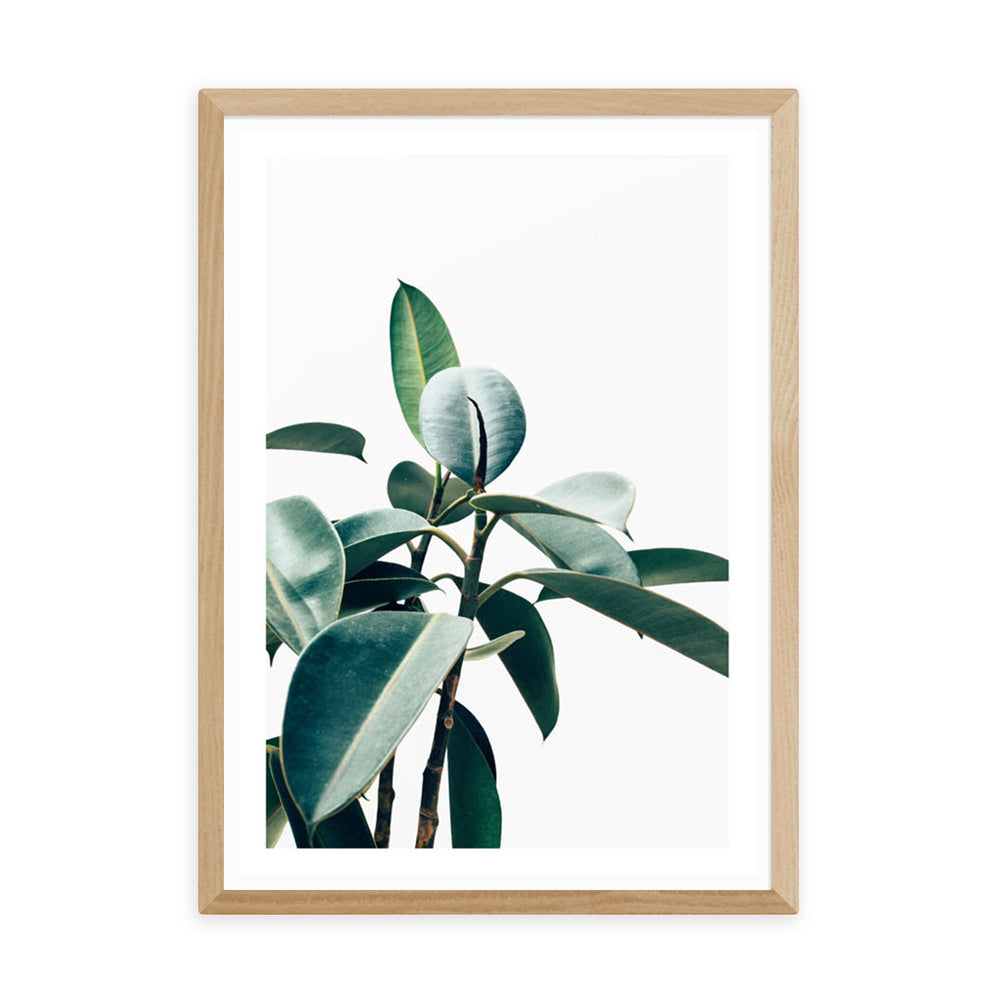 Product photograph of L Amour De Ma Vie By 83 Oranges - A3 Oak Framed Art Print from Olivia's.