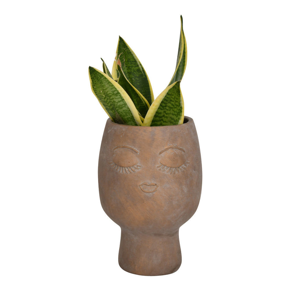 Product photograph of Libra Urban Botanic Collection - Ava Face Concrete Planter Large from Olivia's.