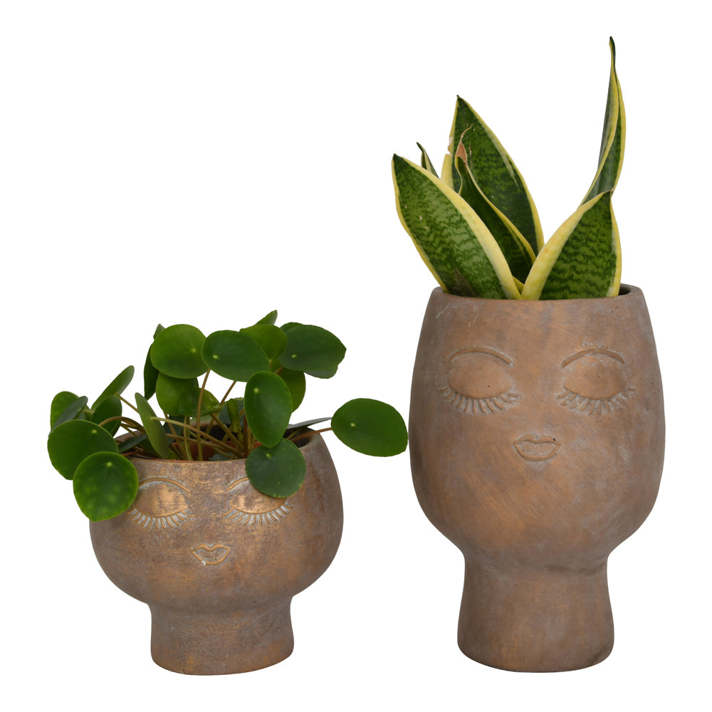 Product photograph of Libra Urban Botanic Collection - Ava Face Concrete Planter Large from Olivia's.