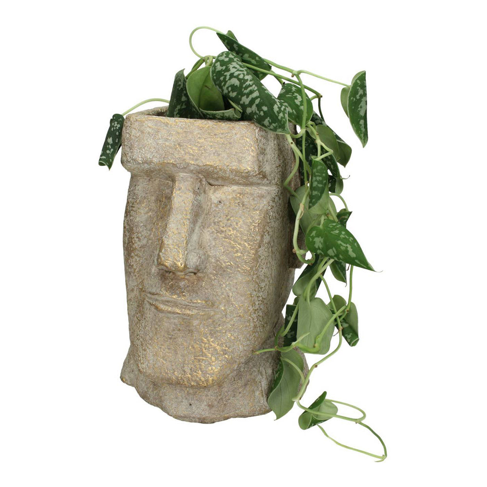 Product photograph of Libra Urban Botanic Collection - Easter Island Gold Head Planter Small from Olivia's.