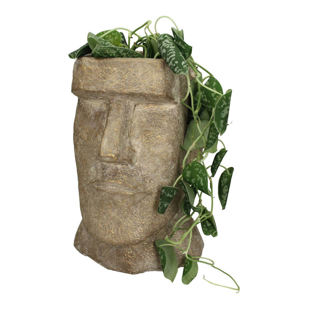 Product photograph of Libra Urban Botanic Collection - Easter Island Gold Head Planter Large from Olivia's.