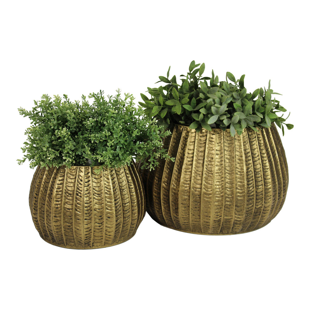 Product photograph of Libra Urban Botanic Collection - Woburn Low Gold Metal Set Of 2 Planters from Olivia's.