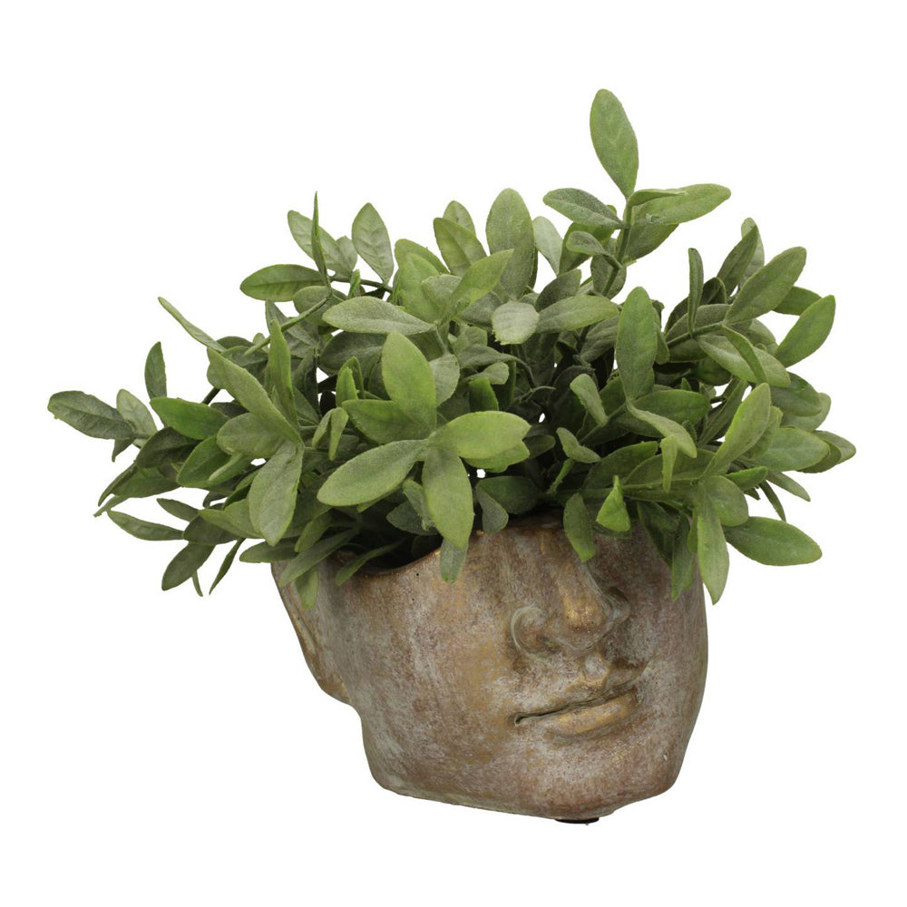 Product photograph of Libra Urban Botanic Collection - Apollo Face Small Planter from Olivia's.