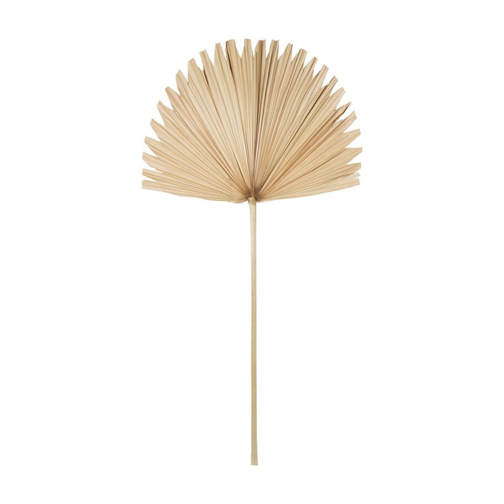 Product photograph of Libra Interiors Wide Fan Palm Leaf Natural from Olivia's