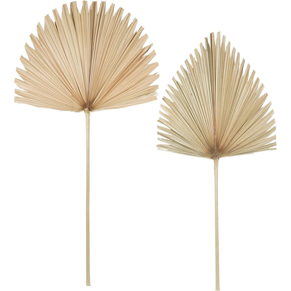 Product photograph of Libra Interiors Wide Fan Palm Leaf Natural from Olivia's.