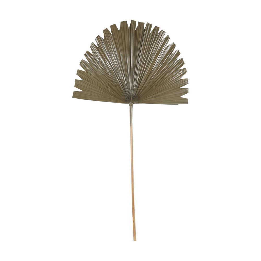 Product photograph of Libra Interiors Wide Fan Palm Leaf Brown from Olivia's