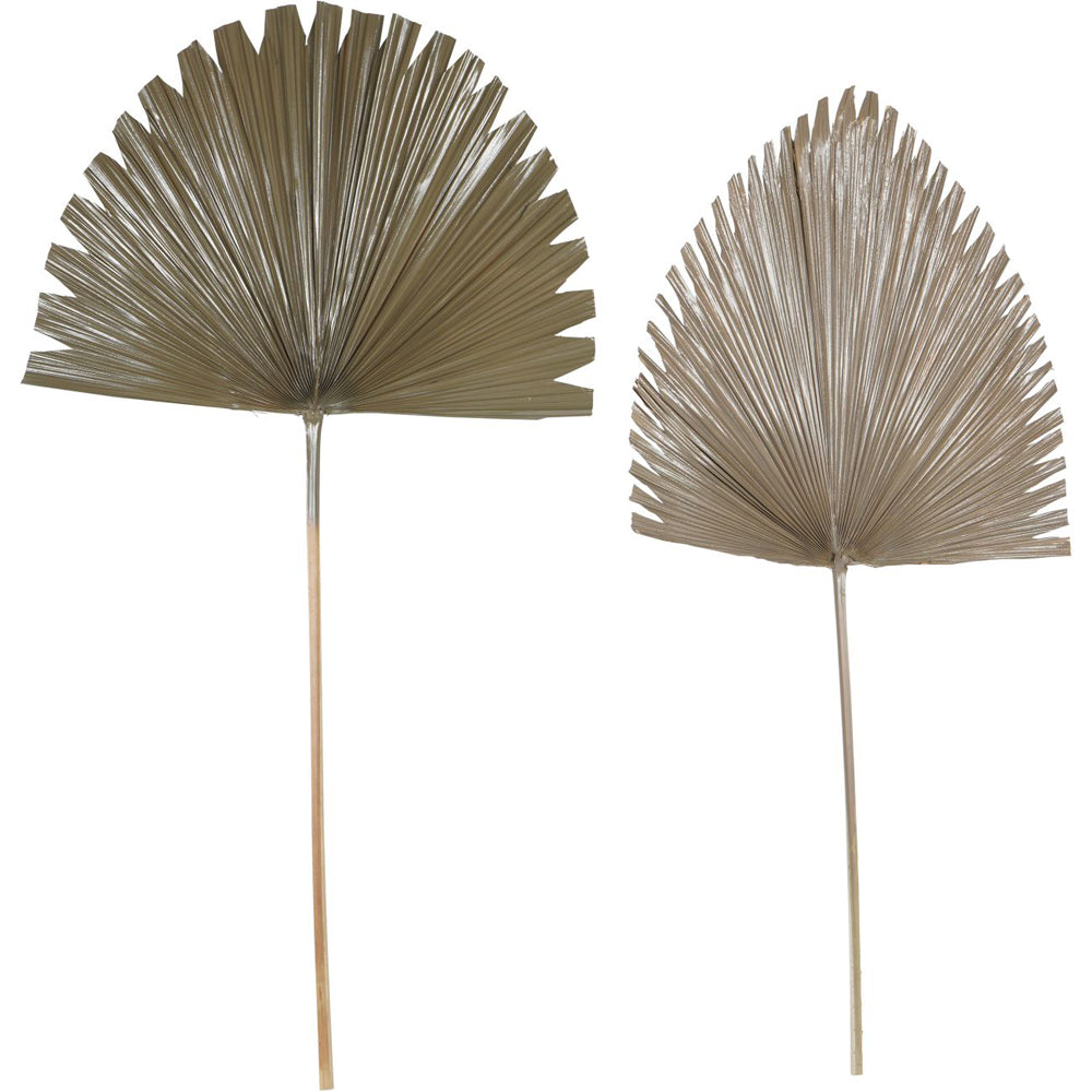 Product photograph of Libra Interiors Wide Fan Palm Leaf Brown from Olivia's.