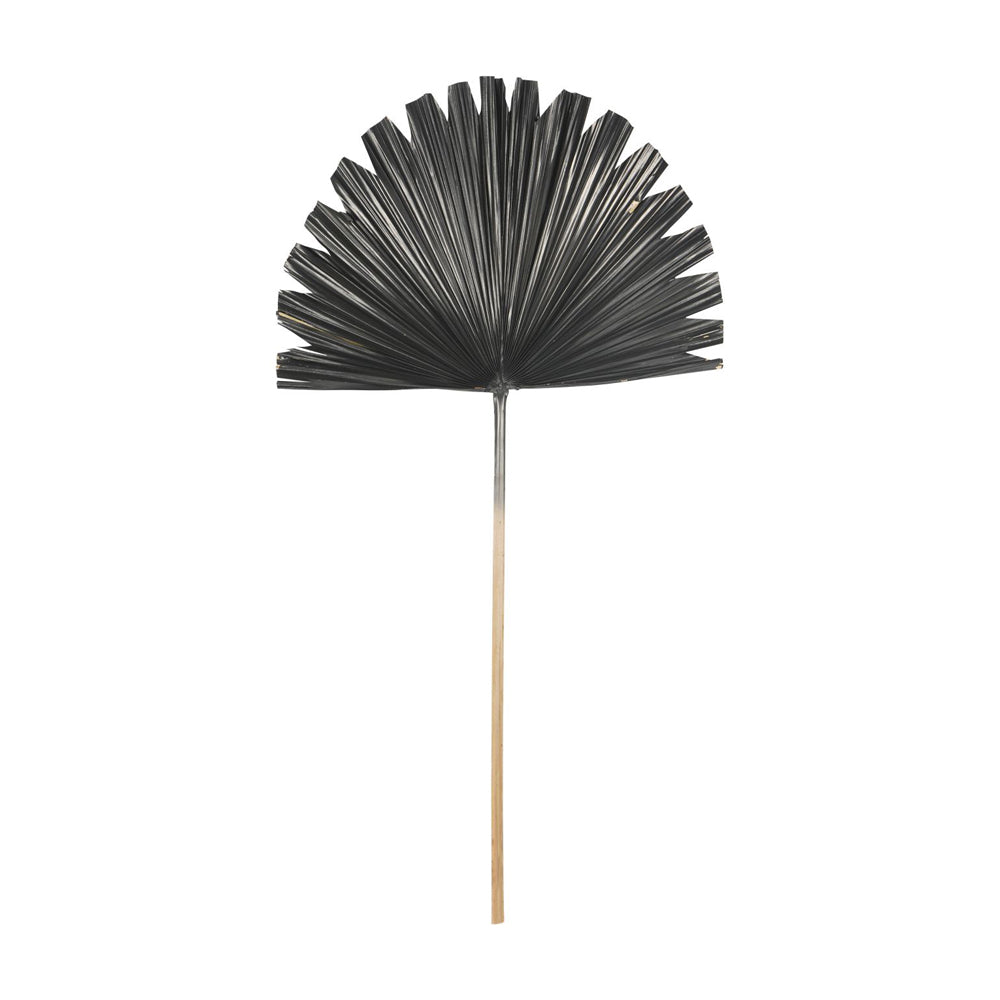 Product photograph of Libra Interiors Wide Fan Palm Leaf In Black from Olivia's