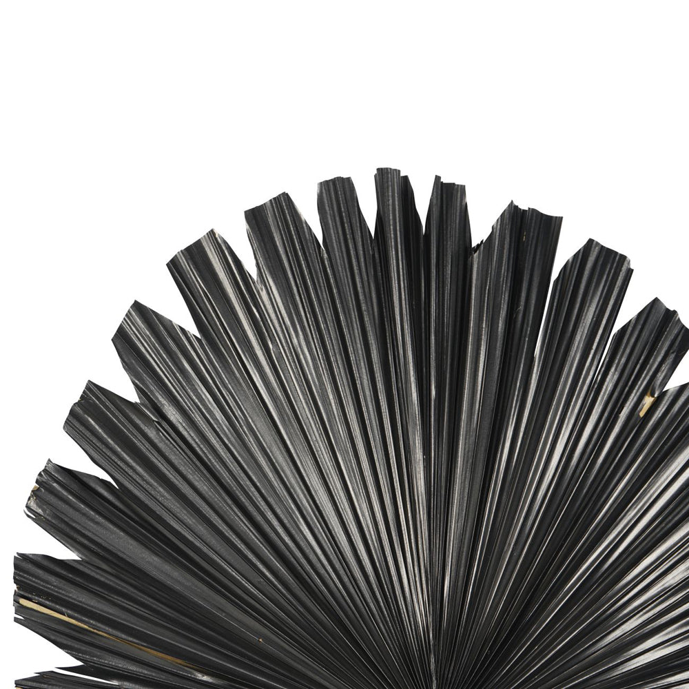 Product photograph of Libra Interiors Wide Fan Palm Leaf In Black from Olivia's.