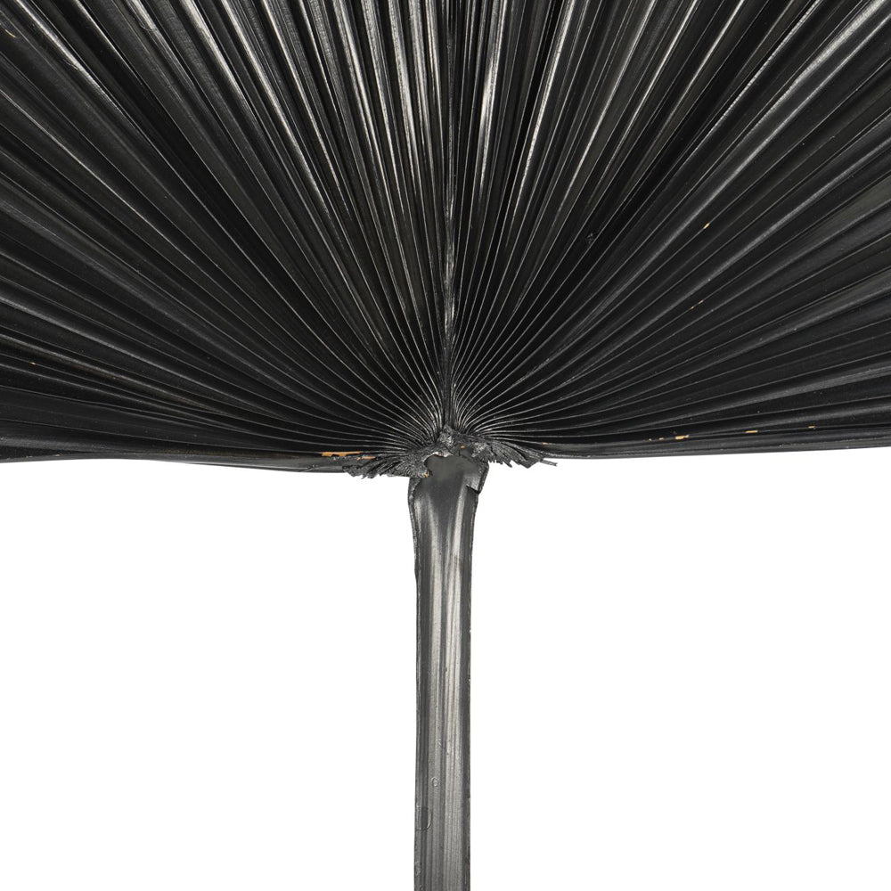 Product photograph of Libra Interiors Wide Fan Palm Leaf In Black from Olivia's.
