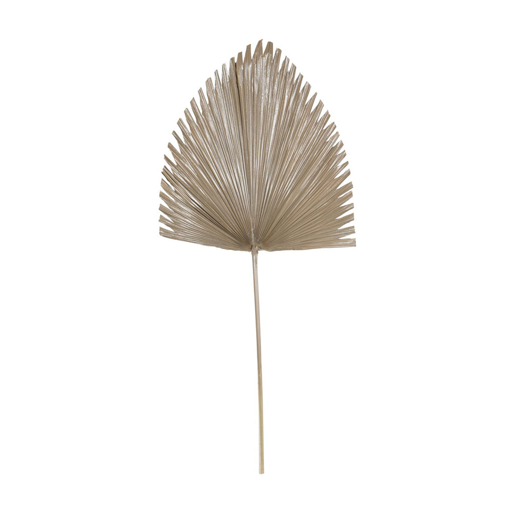 Product photograph of Libra Interiors Arrowhead Palm Leaf In Brown from Olivia's