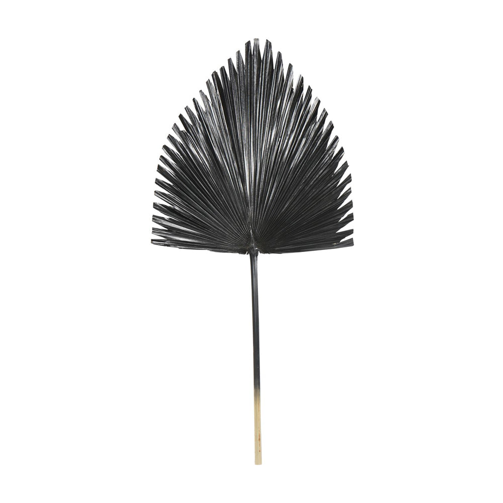 Product photograph of Libra Interiors Arrowhead Palm Leaf In Black from Olivia's